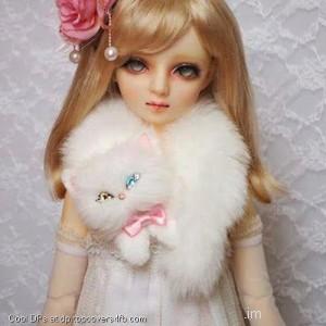 Cute-Kitty-Doll-Display-Picture