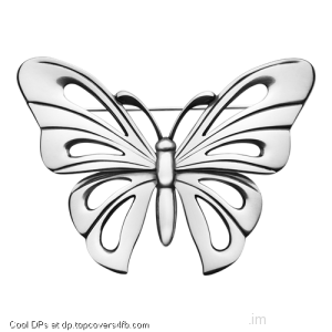 Steel-Butterfly-Display-Picture