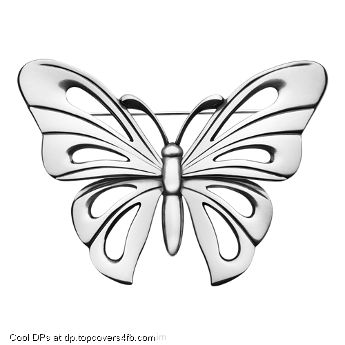 Steel-Butterfly-Display-Picture