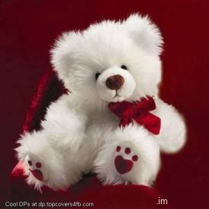 White-Alone-Teddy-Display-Picture