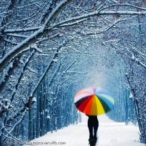 Winter-Lonely-Snow-Display-Picture