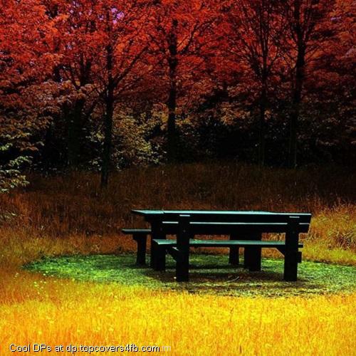 Autumn-Leaves-Display-Picture