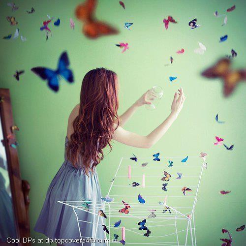 Butterflies-Independence-Display-Picture