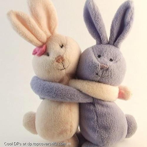 Cute-Connected-Teddy-Display-Picture