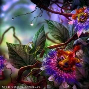 Flowers-Scenery-Display-Picture