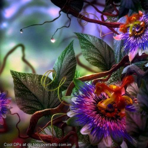 Flowers-Scenery-Display-Picture