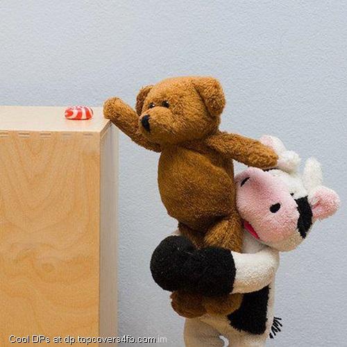 Teddy-And-Cow-Display-Picture
