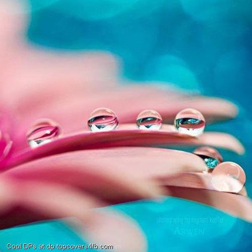 Tiny-Water-Drops-Display-Picture
