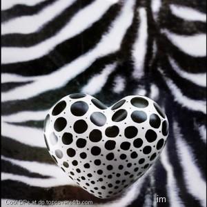 Zebra-Dots-Heart-Display-Picture