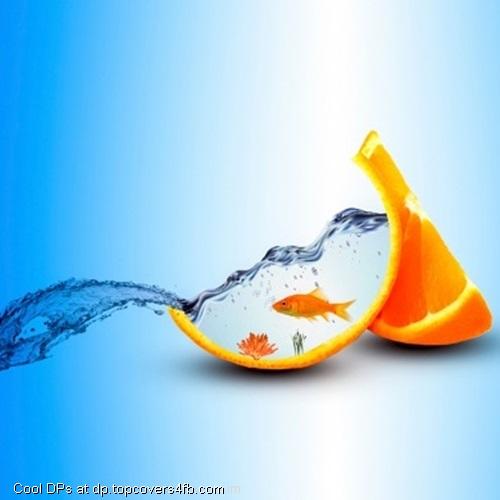Aquarium-In-Orange-Fish-Display-Picture