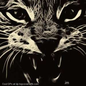 Cat-Grin-Abstraction-Display-Picture