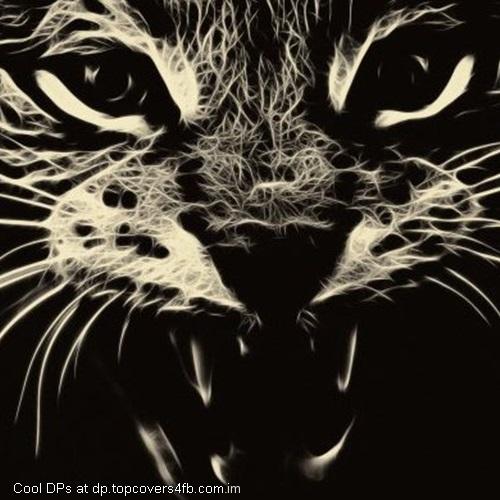 Cat-Grin-Abstraction-Display-Picture