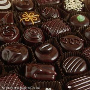 Chocolate-Love-Cakes-Display-Picture