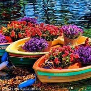 Colorful-Flower-Boat-Display-Picture