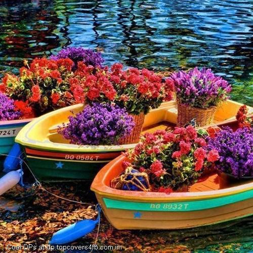 Colorful-Flower-Boat-Display-Picture