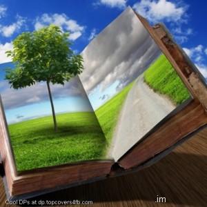 Creative-Book-Display-Picture