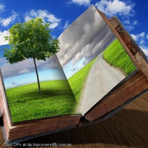 Creative-Book-Display-Picture