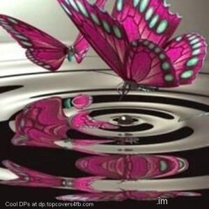 Crystal-Purple-Butterfly-Display-Picture
