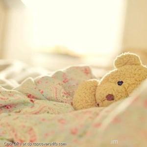 Cute-Sleeping-Teddy-Display-Picture