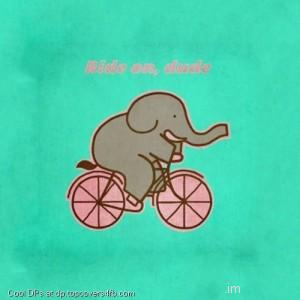 Cycling-Elephant-Display-Picture