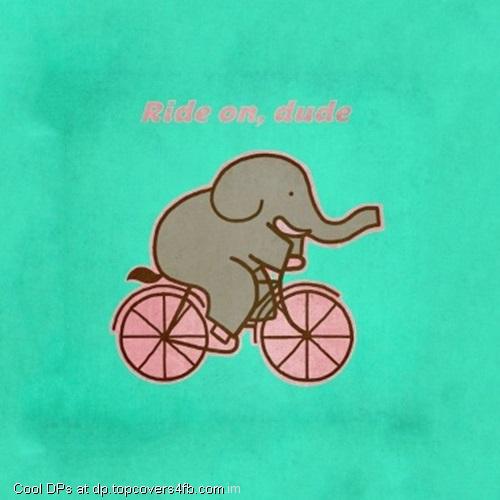 Cycling-Elephant-Display-Picture