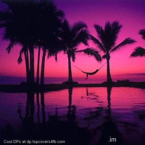 Enjoying-The-Sunset-Alone-Display-Picture