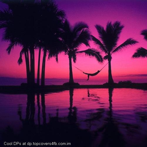 Enjoying-The-Sunset-Alone-Display-Picture