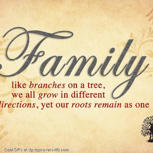 Family-Like-Branches-On-A-Tree-Display-Picture