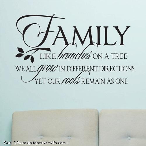 Family-Roots-Display-Picture