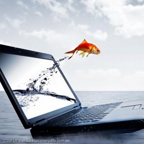 Fish-Jump-From-Laptop-Display-Picture