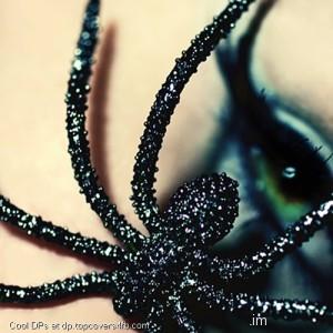 Glittery-Spider-Eyes-Display-Picture