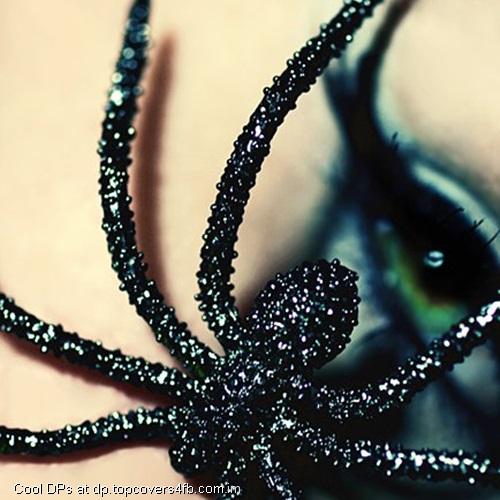 Glittery-Spider-Eyes-Display-Picture
