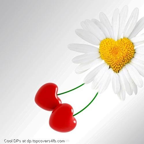 Heart-White-Flower-Display-Picture