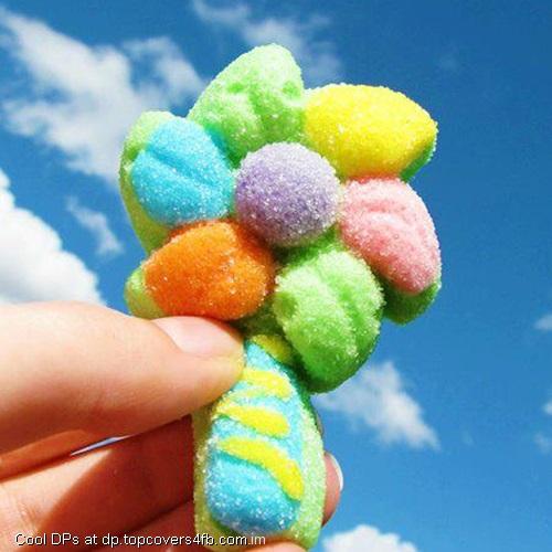 Jelly-Colorful-Flower-Display-Picture