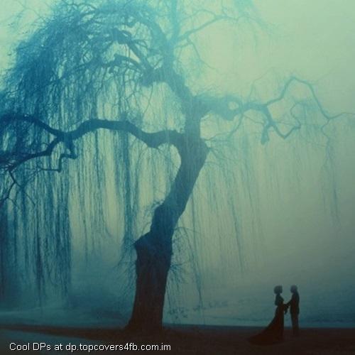 Love-Couple-Near-Tree-Display-Picture