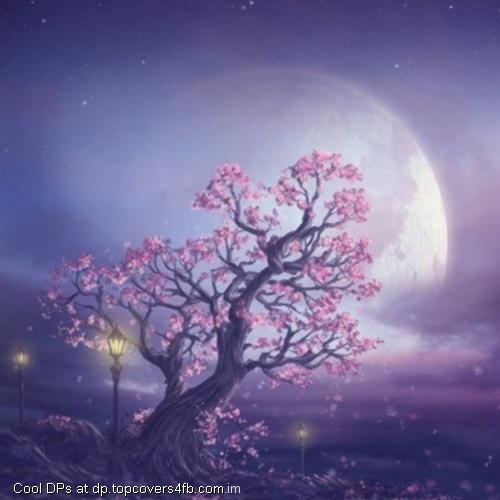 Pink-Moon-Fantasy-Art-Display-Picture