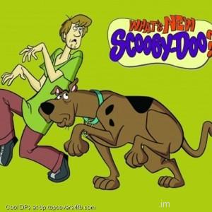 Shaggy-Scooby-Doo-Display-Picture