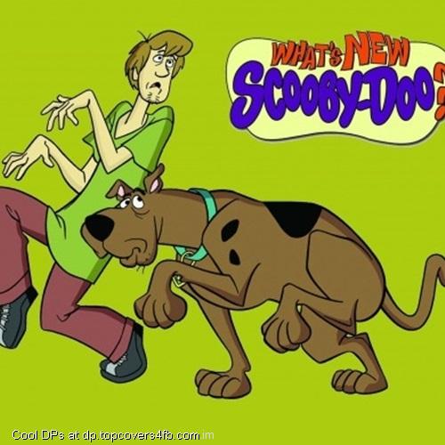 Shaggy-Scooby-Doo-Display-Picture