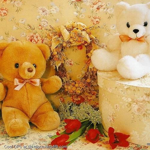 Teddy-Best-Friends-Display-Picture