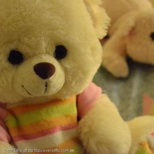 Teddy-Love-Display-Picture