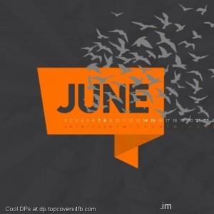 The-Birds-June-Display-Picture