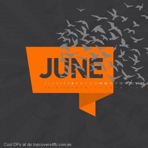 The-Birds-June-Display-Picture