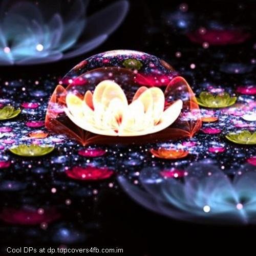 The-Dark-Flower-Dome-Display-Picture