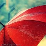 Umbrella-Red-Water-Drops-Display-Picture