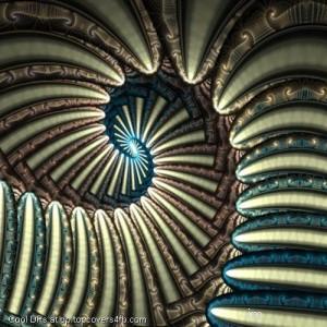 All-About-The-Swoop-Display-Picture