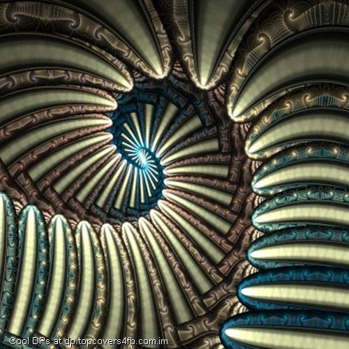 All-About-The-Swoop-Display-Picture