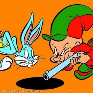 Bugs-Bunny-And-Elmer-Fudd-Display-Picture