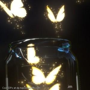 Glowing-Butterflies-Display-Picture