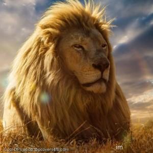 King-Of-Beasts-Lion-Display-Picture