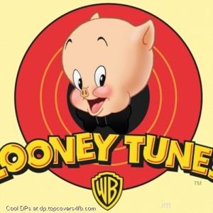 Looney-Tunes-Porky-Display-Picture